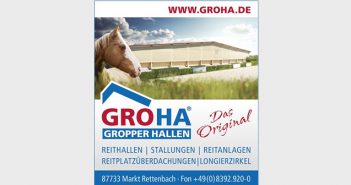 Groha Groha