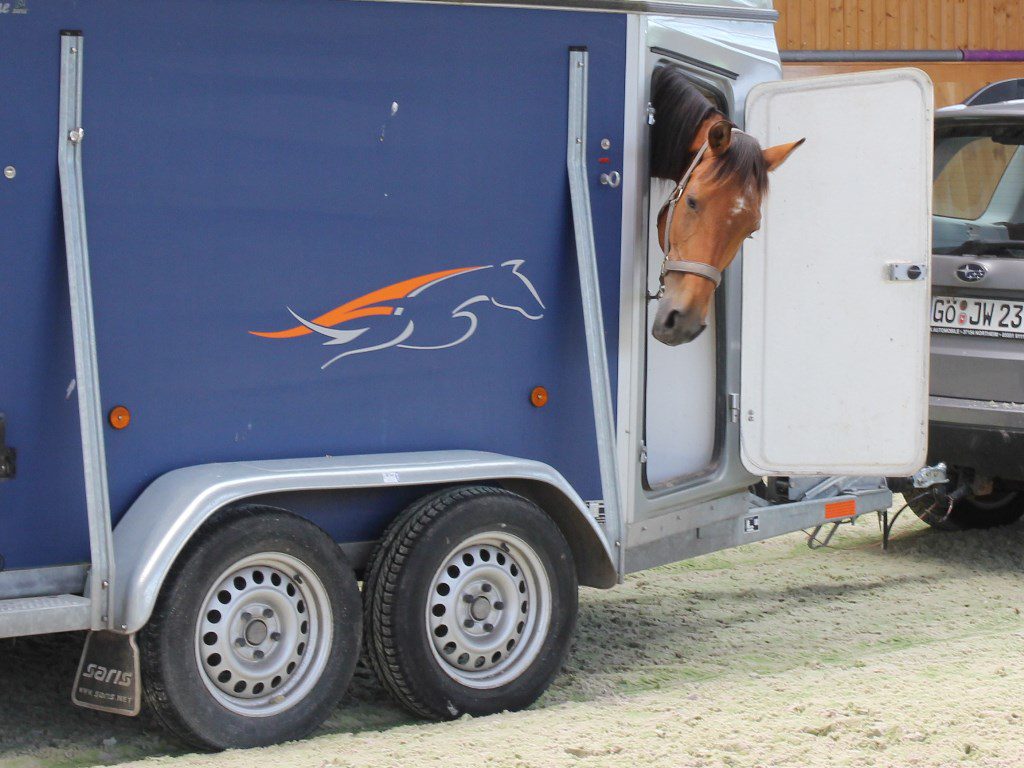 maut, pferdemaut, maut für pferdetransporter