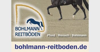 Bohlmann Bohlmann Reitböden
