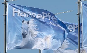 HansePferd: Sonderschau für Pferdebetriebe sonderschau pferdebetriebe, hansepferd, moderne pferdehaltung