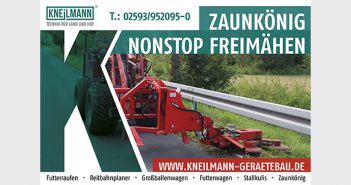 Kneilmann Kneilmann Zaunkönig