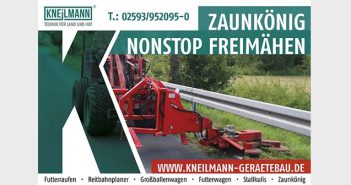Kneilmann Kneilmann Zaunkönig