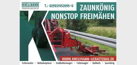 Kneilmann Zaunkönig