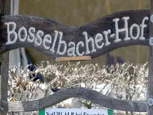 bosselbacher hof, nordeifel, pensionspferdehaltung