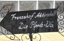 Franzehof-Aktivstall: Die Pferde-WG