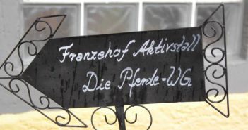 Franzehof-Aktivstall: Die Pferde-WG