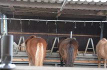 Alles im Blick