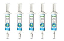 Gastro Booster hilft dem Pferdemagen