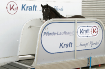 Laufband hat positiven Effekt auf Pferde