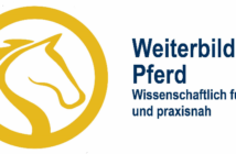 HfWU bietet Online-Kurse an