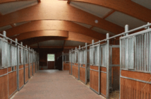 Stallplanung: Tipps zum Boxenbau