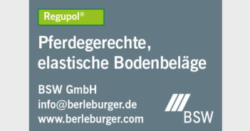BSW Berleburger Schaumstoffwerk GmbH