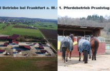 Teilnehmerplatz sichern: Pferdebetrieb Praxistag April 2018