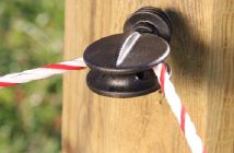 Pferdeweiden: 3 Mythen um den Elektrozaun