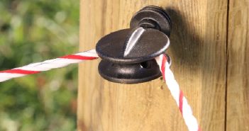 Pferdeweiden: 3 Mythen um den Elektrozaun