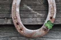 Riders‘ Edition: Neue Verlosungen online, jetzt teilnehmen und gewinnen