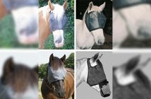 Innohorse Easy Shade Lichtschutzmaske zu gewinnen