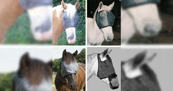 Innohorse Easy Shade Lichtschutzmaske zu gewinnen