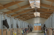 9 Punkte für ein optimales Stallklima im Pferdestall