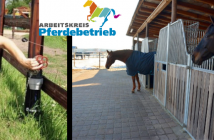 Arbeitskreis Pferdebetrieb: Betriebsführung, Workshops und Austausch