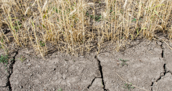 Dürre: Landwirte erhalten EU-Subventionen früher