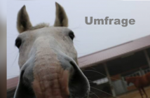 Umfrage: Trainingsgeräte für Pferde
