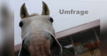 Umfrage: Qualitätsmanagement auf Pferde haltenden Betrieben
