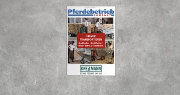 NEU: E-Book CLEVER TRANSPORTIEREN