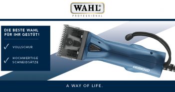 Wahl Legend – Unser Kraftvolle für die Dauerbelastung
