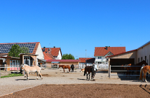Betriebsreportage Pensionsstall und Reitschule Schwabhof