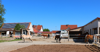 Betriebsreportage Pensionsstall und Reitschule Schwabhof