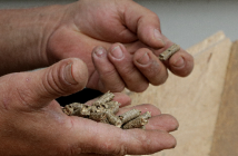 Vorteile von selbst hergestellten Pellets