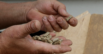 Vorteile von selbst hergestellten Pellets