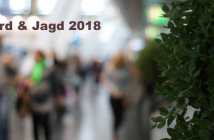Pferd & Jagd 2018: Impressionen aus dem Forum Pferdebetrieb