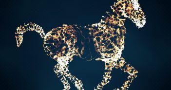 Branchenführer: Digitalisierung Digitalisierung