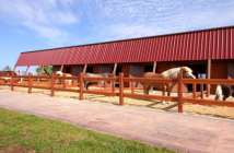 Wettbewerb „Unser Stall soll besser werden“