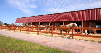 Wettbewerb „Unser Stall soll besser werden“