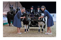 Zwei Messen parallel: Forst³ und Reiten-Jagen-Fischen