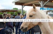Arbeitskreis Pferdebetrieb – Austausch und Fachwissen