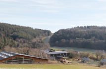 Westernflair in der Vulkaneifel