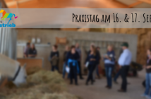 Praxistag: Zucht und wirtschaftliche Pferdehaltung