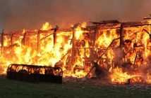 Brandschutz auf Pferdebetrieben – eine Checkliste