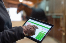 Deal für Die Pferde App bei Die Höhle der Löwen