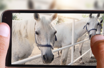 Storytelling: 5 Tipps für Facebook und Instagram