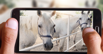 Storytelling: 5 Tipps für Facebook und Instagram