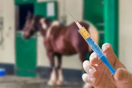 Foto: vchalup/adobe.stock.com Impfungen beugen gefährlichen, ansteckenden Krankheiten vor und schützen so den gesamten Tierbestand.