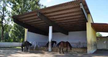 Modernisierung und Umbauten in Stall und Halle Auf dem Familienbetrieb Müller in Kissing wich die Milchviehhaltung einem Pensionspferdestall mit Bullenmast. Einsteller haben die Wahl zwischen Offenstall und Boxenhaltung. Foto: Pferdebetrieb