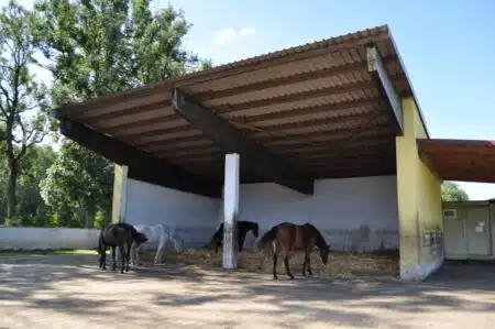 Auf dem Familienbetrieb Müller in Kissing wich die Milchviehhaltung einem Pensionspferdestall mit Bullenmast. Einsteller haben die Wahl zwischen Offenstall und Boxenhaltung. Foto: Pferdebetrieb