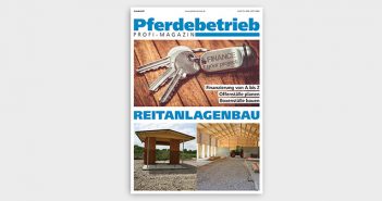 Sonderheft: Modernisierung