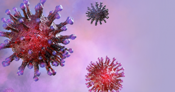 Corona-Virus: Das können Reitanlagen tun